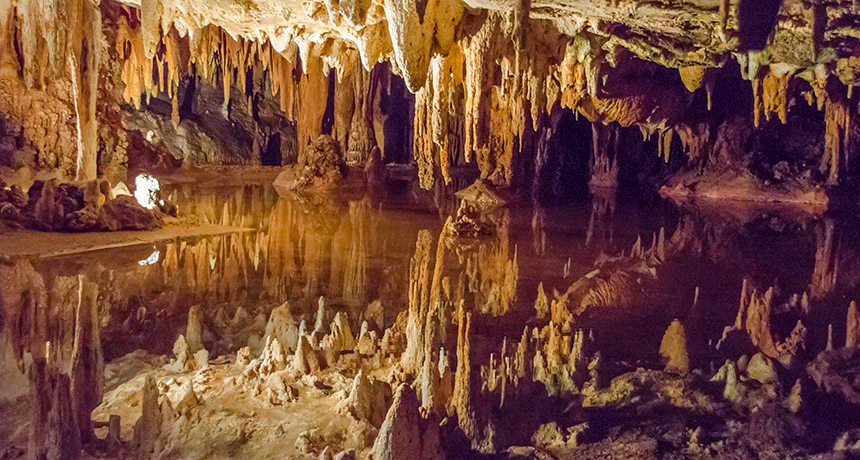 https://www.sciencenewsforstudents.org/article/scientists-say-stalactite-and-stalagmite